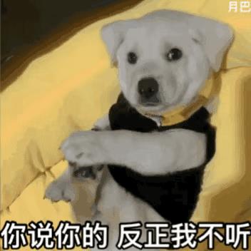中国名犬排名犬排行榜前十名（排名前十的名犬）