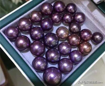 紫色珍珠为什么不值钱高品质澳白（淡紫色珍珠为什么不值钱）